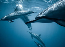 CMG群众足球邀请赛第六轮完赛 山东泰山队以5粒进球回馈远征球迷